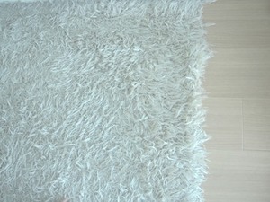 carpet.JPG