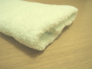 dust cloth.JPG